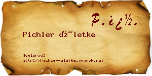 Pichler Életke névjegykártya